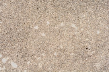 Textured concrete surface with visible grains and small pebbles serves as a rough, full-frame background