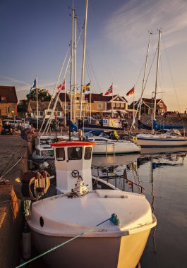 Torekov, İsveç: 2 Ağustos; 2018. bir balıkçı köyü limanında tekneler. 