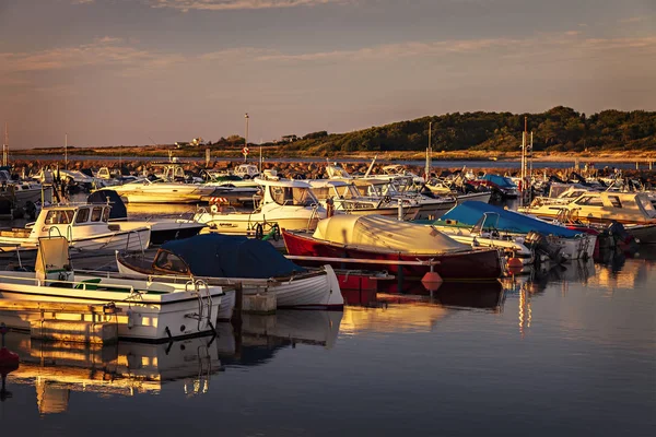 Torekov Sweden August 2018 Boats Harbour Fishing Village — Stock Photo, Image