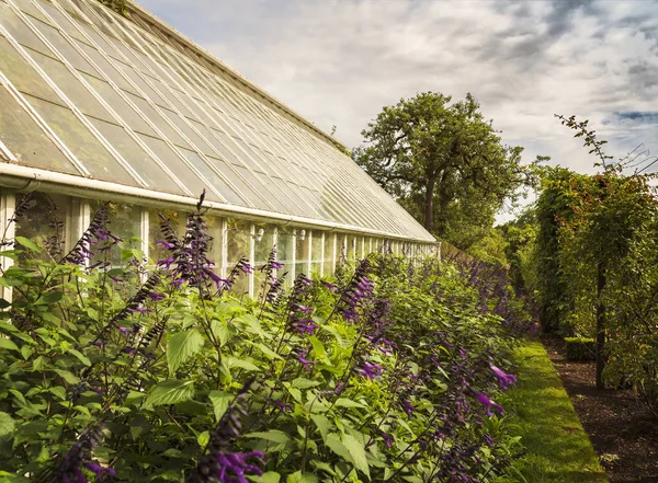 Grande Serre Dans Beau Jardin Verdoyant — Photo