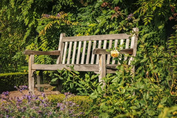 Dřevěná Lavice Bujné Zahradě — Stock fotografie