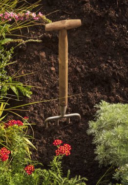 Bahçe çiçek yama metal çatal ile. 
