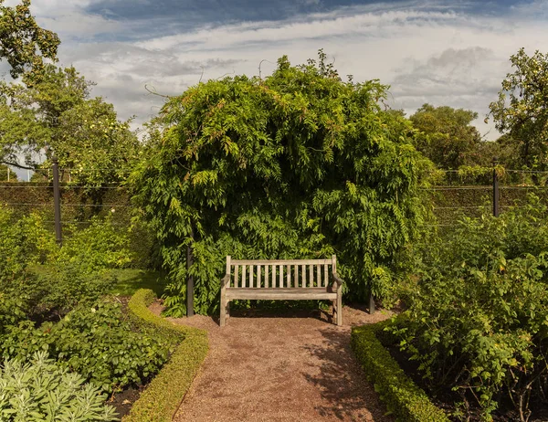 Wooden garden bench in lush green landscaped garden.