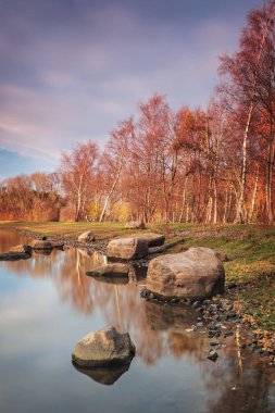 Renkli forest park için yapılan sonbahar. Helsingborg, İsveç.