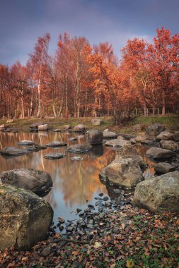 Renkli forest park için yapılan sonbahar. Helsingborg, İsveç.