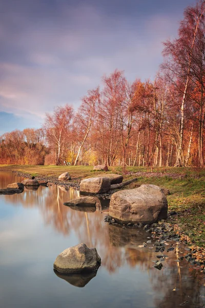 Farbenfroher Waldpark Herbst Helsingborg Schweden — Stockfoto