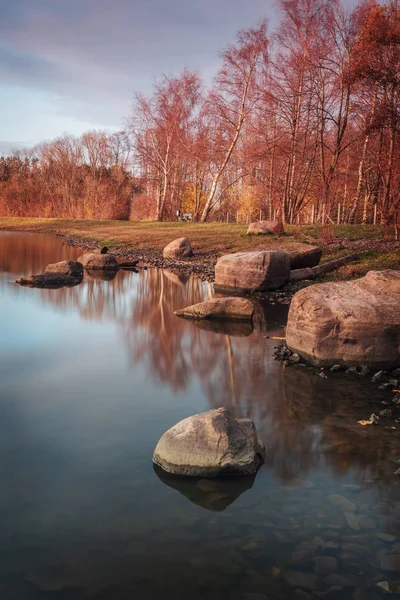 秋天五颜六色的森林公园 瑞典赫尔辛堡 — 图库照片