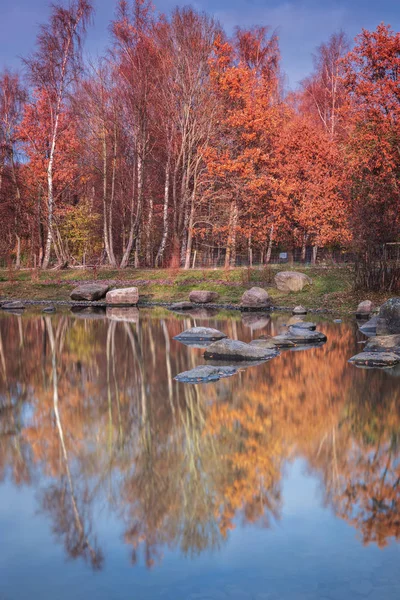 秋天五颜六色的森林公园 瑞典赫尔辛堡 — 图库照片