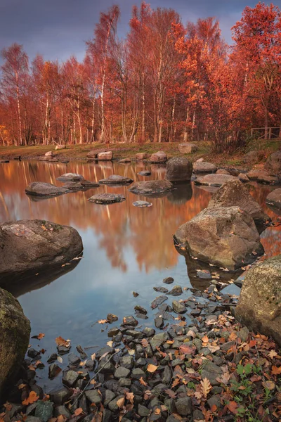 Colorido Parque Forestal Otoño Helsingborg Suecia — Foto de Stock