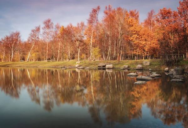 Parque Florestal Colorido Outono Helsingborg Suécia — Fotografia de Stock