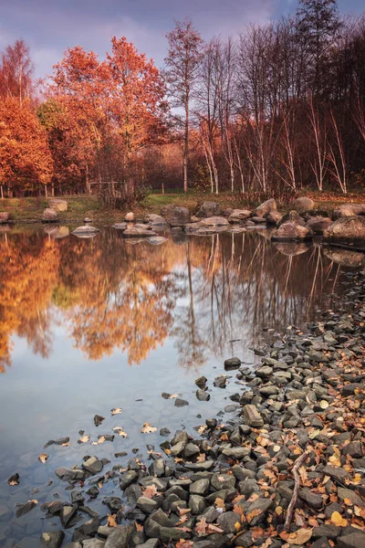 Colourful Forest Park Autumn Helsingborg Sweden — Stock Photo, Image