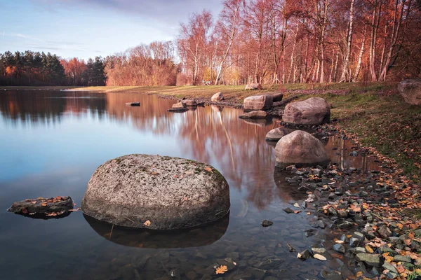 Farbenfroher Waldpark Herbst Helsingborg Schweden — Stockfoto