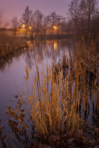 Paisaje Nocturno Brumoso Ensueño Junto Estanque Helsingborg Suecia —  Fotos de Stock