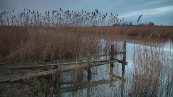 Деревянная Дорожка Озере — стоковое видео
