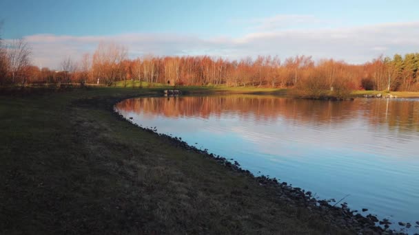 Colorato Parco Forestale Autunno Helsingborg Svezia — Video Stock