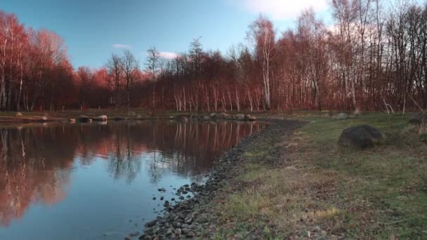 Colorato Parco Forestale Autunno Helsingborg Svezia — Video Stock