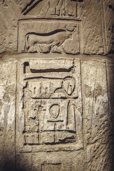 Karnak starożytne rzeźby — Zdjęcie stockowe