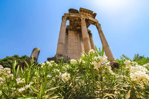 Details of the Forum Romanum in Italy — Stock Photo, Image