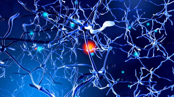 3D rendered Illustration of  Signal transmission in a  Neuronal — Stock Photo, Image