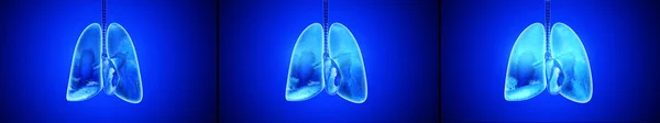 3D απεικόνιση της διαδικασίας της αναπνοής των πνευμόνων του ανθρώπου — Φωτογραφία Αρχείου