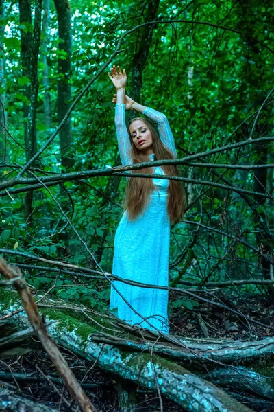 Eine Frau, die im Wald steht und nach oben greift — Stockfoto