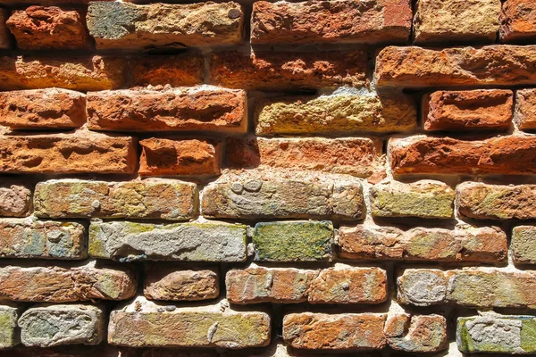 Vieux mur de briques par une journée ensoleillée — Photo