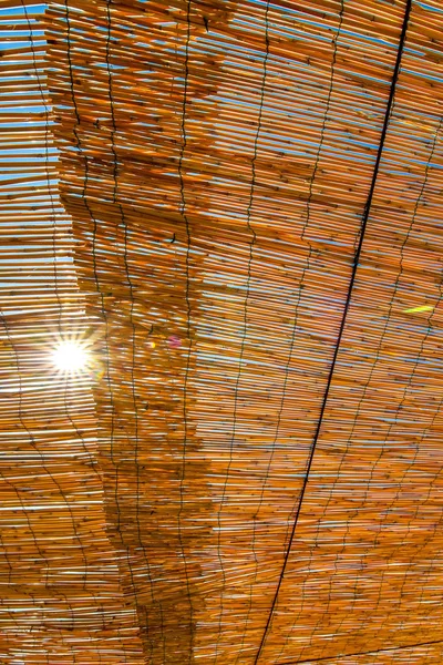 Reed canopy in Cinque Terre — Stock Photo, Image