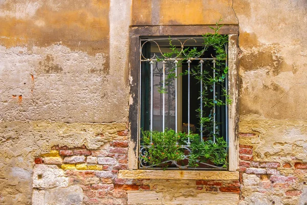 Arquitectura histórica de Venecia en un día soleado — Foto de Stock