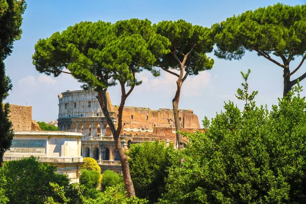 Visa på Colosseum i Rom — Stockfoto