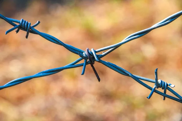 View on a barbed wire in the countryside — Stock Photo, Image