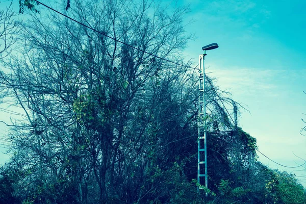 Photo of a street lamp in the daylight — Stock Photo, Image