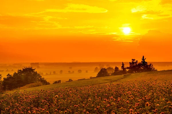 Sunset over the Bavarian hills — Stock Photo, Image