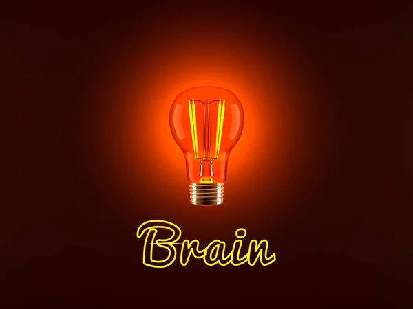 Лампочка і мозок — стокове фото