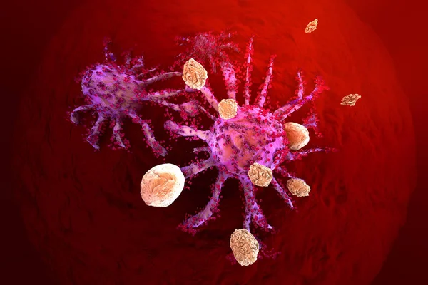T-Zellen des Immunsystems greifen wachsende Krebszellen an — Stockfoto