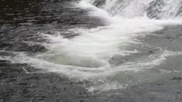 Närbilder Waterfall Maua Rio Janeiro Brasilien — Stockvideo