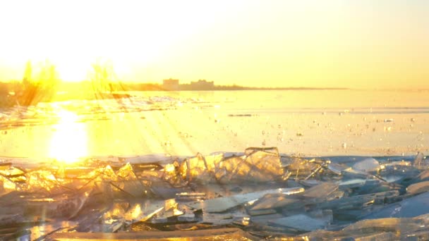 Vue Panoramique Lac Balaton Gelé Coucher Soleil — Video