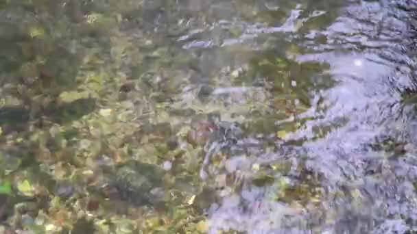 Gros Plan Eau Ondulée Jour — Video