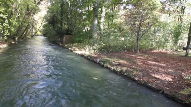 Vista Panorámica Del Río Tranquilo Parque Del Bosque — Vídeos de Stock
