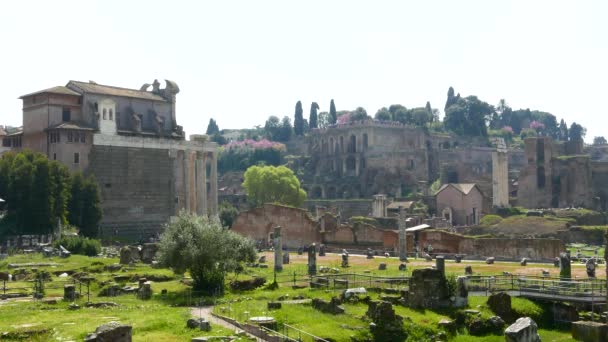 Turisti Visitano Famoso Foro Romano Roma — Video Stock