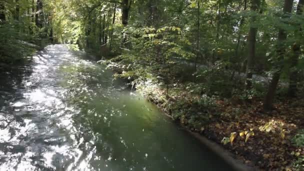 Vue Panoramique Rivière Calme Dans Parc Forêt — Video