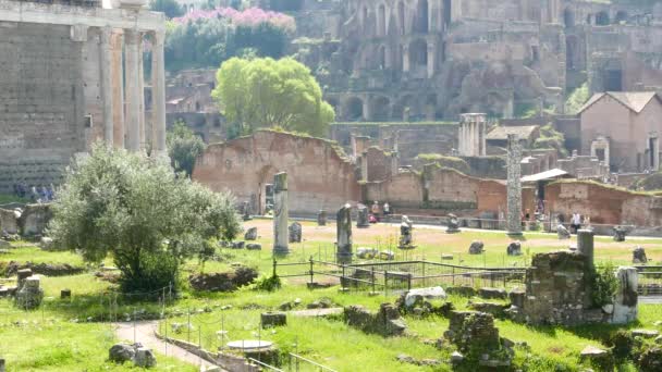 Туристы Посещают Знаменитый Римский Форум Риме Италия — стоковое видео