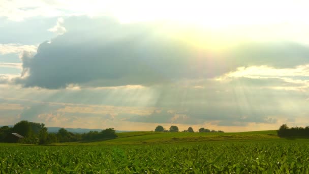 Vista Panorámica Del Campo Verde Bajo Cielo Nublado — Vídeo de stock