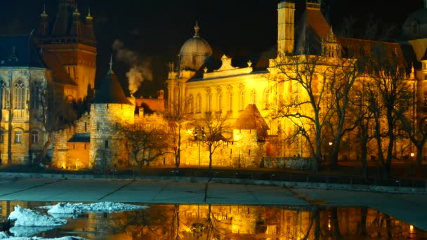 Scenic View Beauty Architecture Budapest — Stock Video