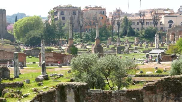 Τουρίστες Επισκέπτονται Διάσημο Forum Romanum Στη Ρώμη Ιταλία — Αρχείο Βίντεο