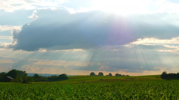 Vista Panorámica Del Campo Verde Bajo Cielo Nublado — Vídeo de stock