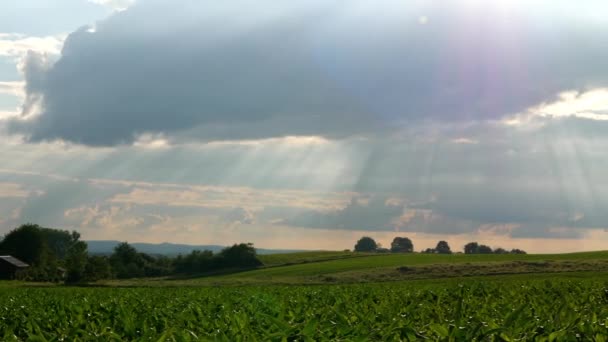 Vista Panorámica Del Campo Verde Bajo Cielo Nublado — Vídeo de stock