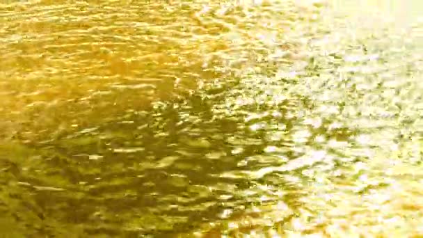 昼間の波状の水の閉鎖 — ストック動画