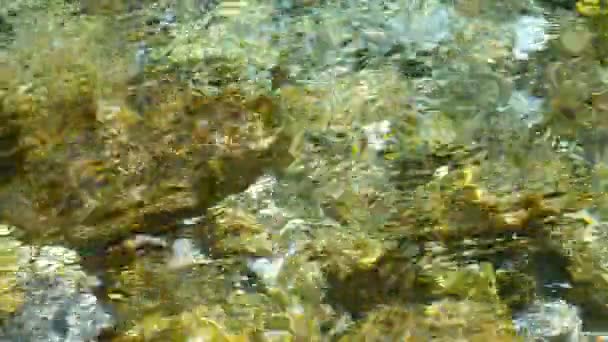 Aufnahmen Des Fließenden Wassers Des Gebirgsflusses Soca Kristallklares Wasser Und — Stockvideo