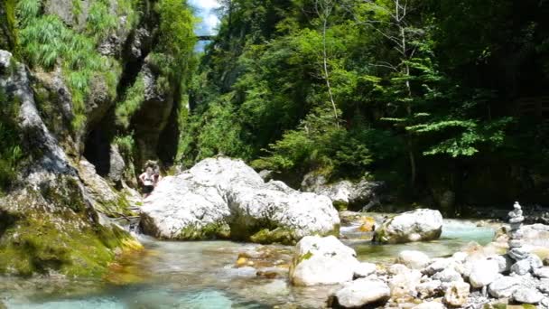透明な水のあるソカ川の映像はスロベニアの緑の森を通って流れています 大きな岩 水の風景 — ストック動画