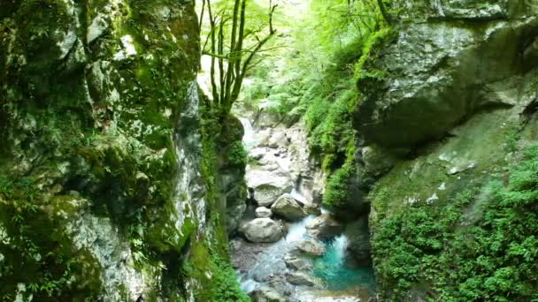 Vista Desfiladeiro Rochoso Estreito Floresta Rio Soca Flui Através Dele — Vídeo de Stock